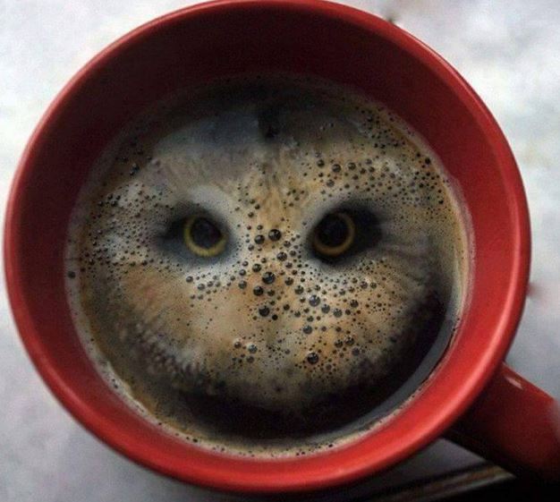 KOK BISA PAS BANGET YA