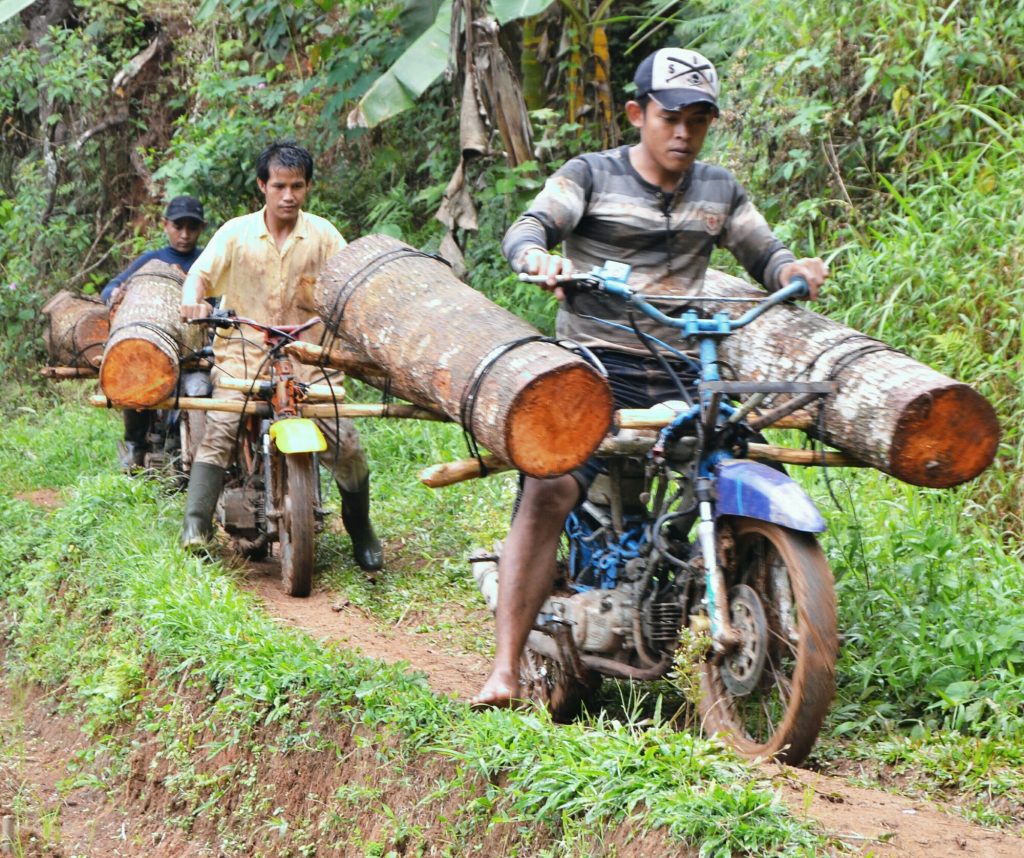 Angkut kayu menggunakan motor